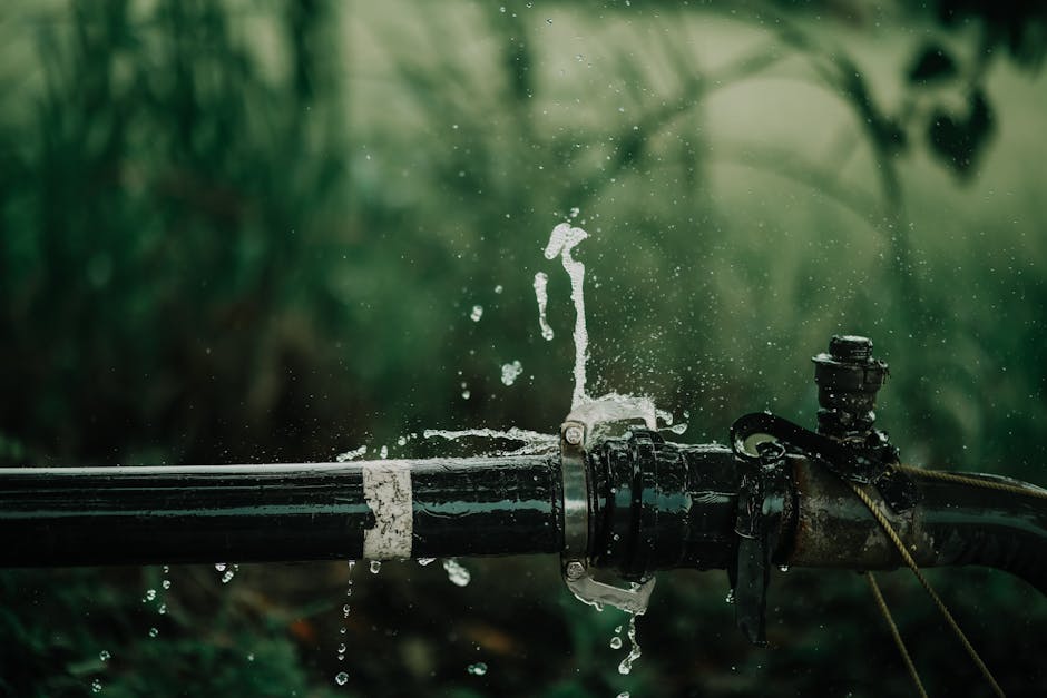 Plumbing Leak Detection & Repair