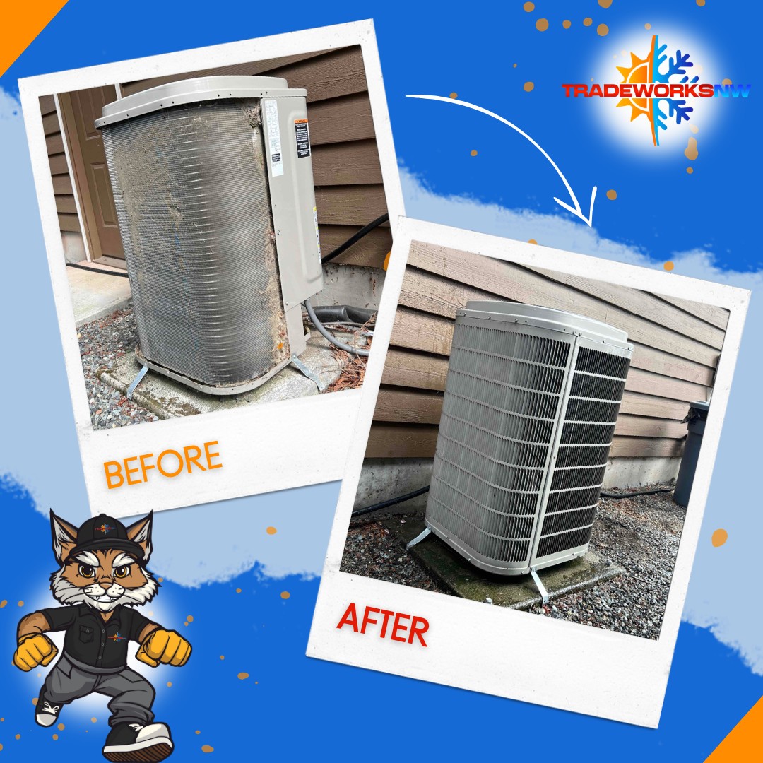 AC Tune Up