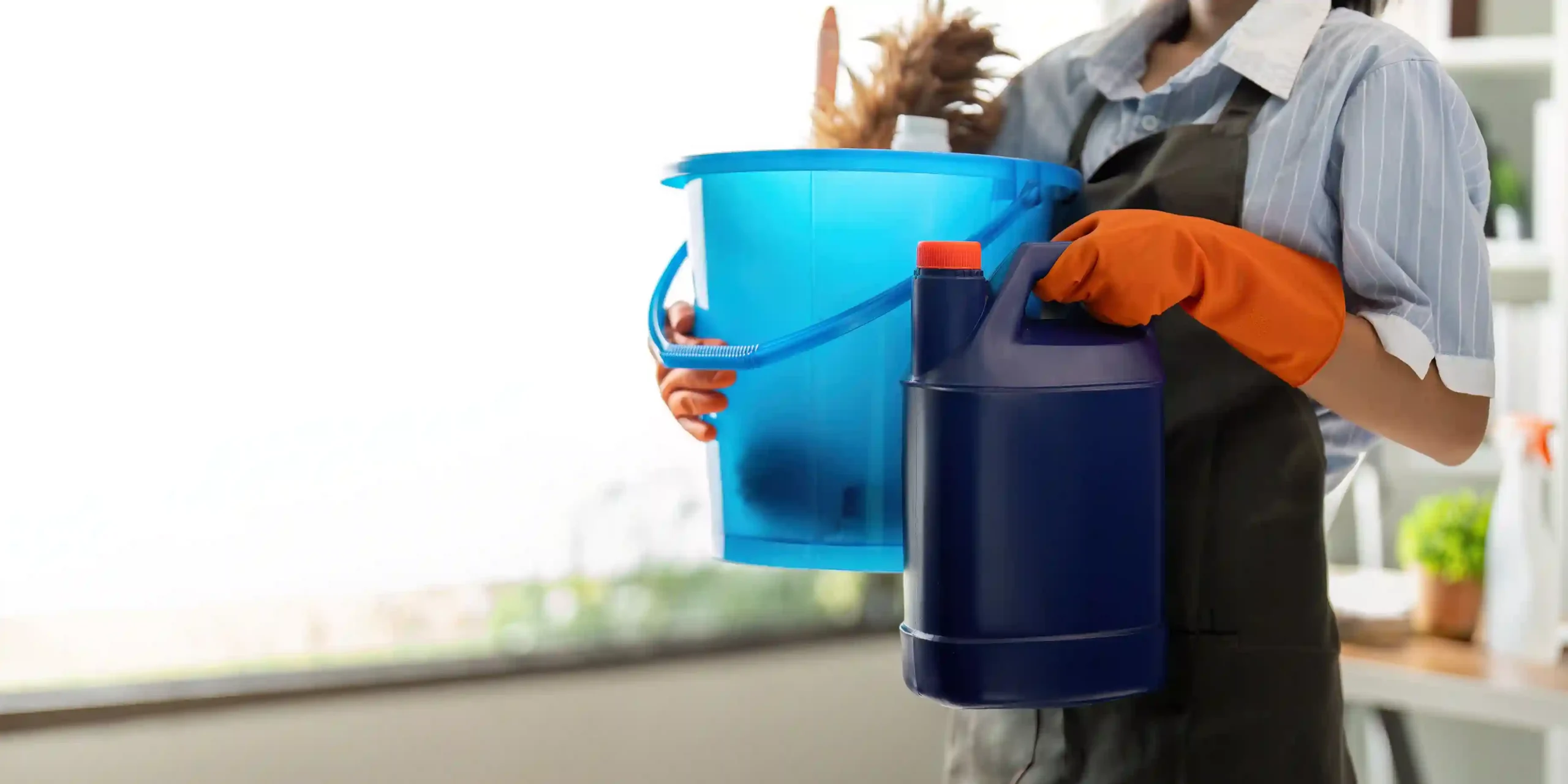 drain cleaner
